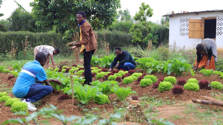 Permaculture Training is Leading the Way at Nakivale