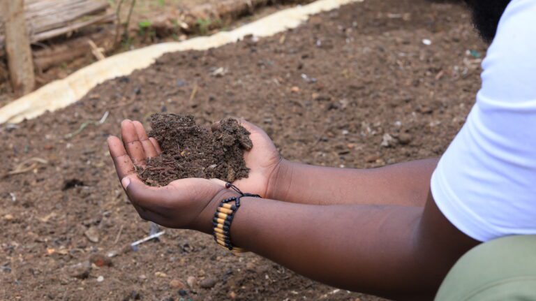 The Power of Vermicomposting: Nurturing Soil, Community, and Sustainability